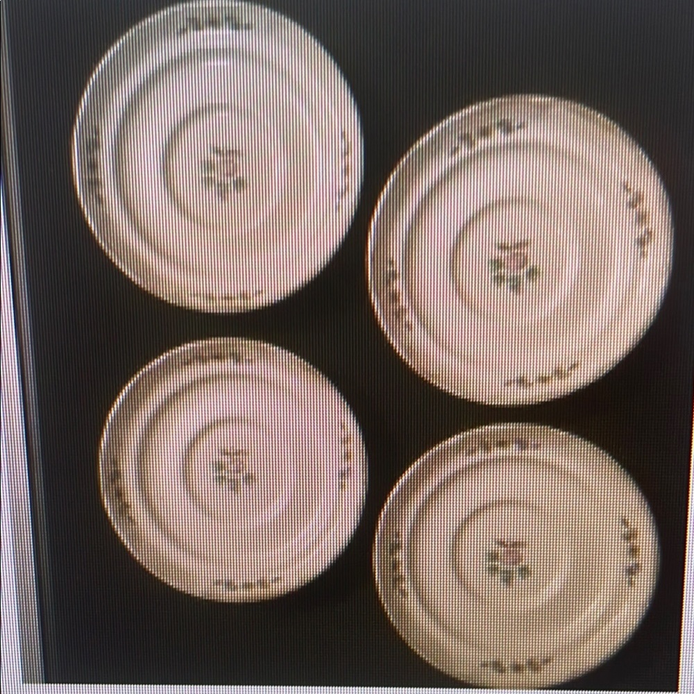Elegant Floral Dinner Plates Set